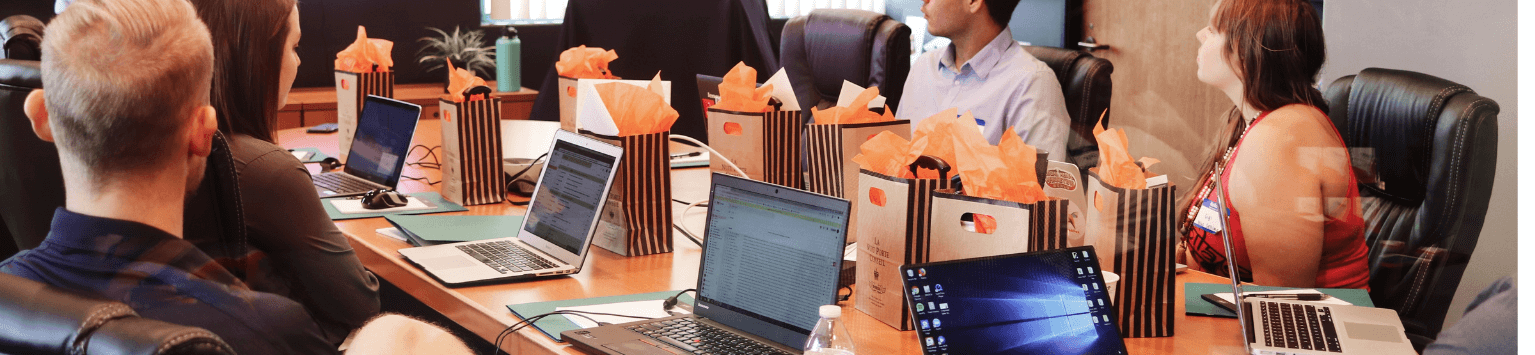 Web Application Development Services India Web Application Development Services India